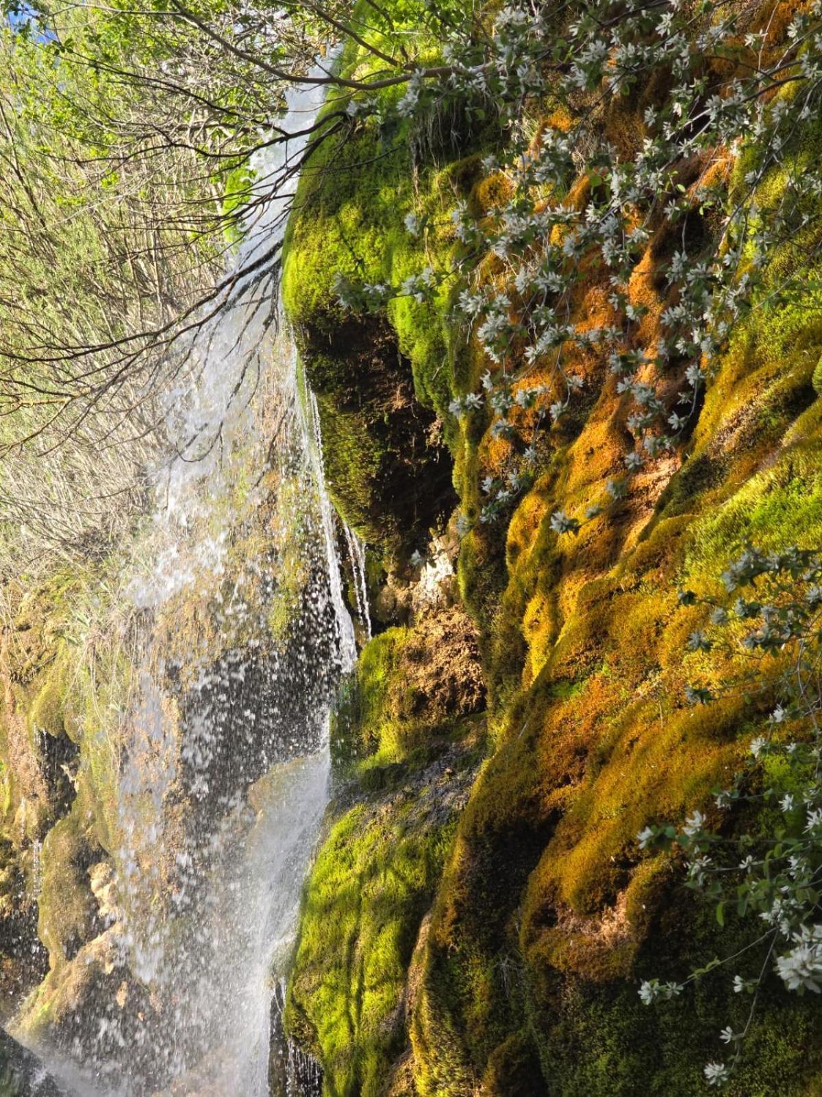 Hostal Rural Alto Tajo Poveda Poveda de la Sierra エクステリア 写真
