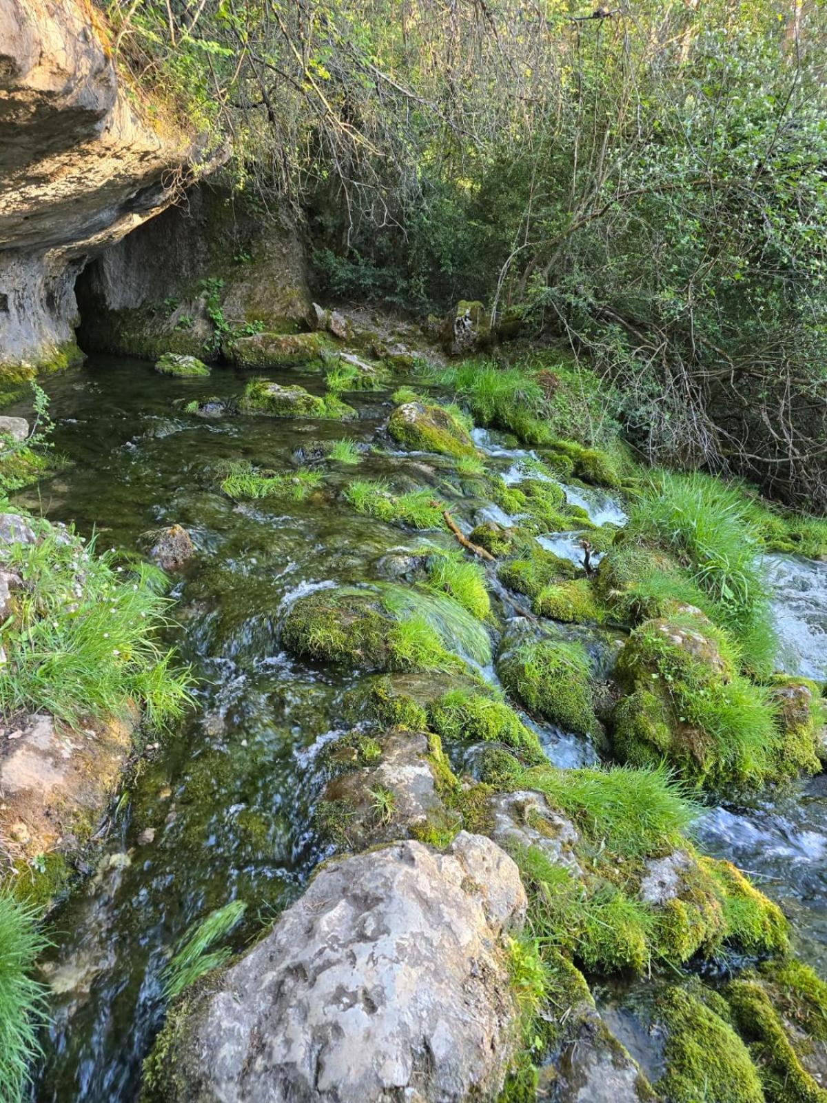 Hostal Rural Alto Tajo Poveda Poveda de la Sierra エクステリア 写真