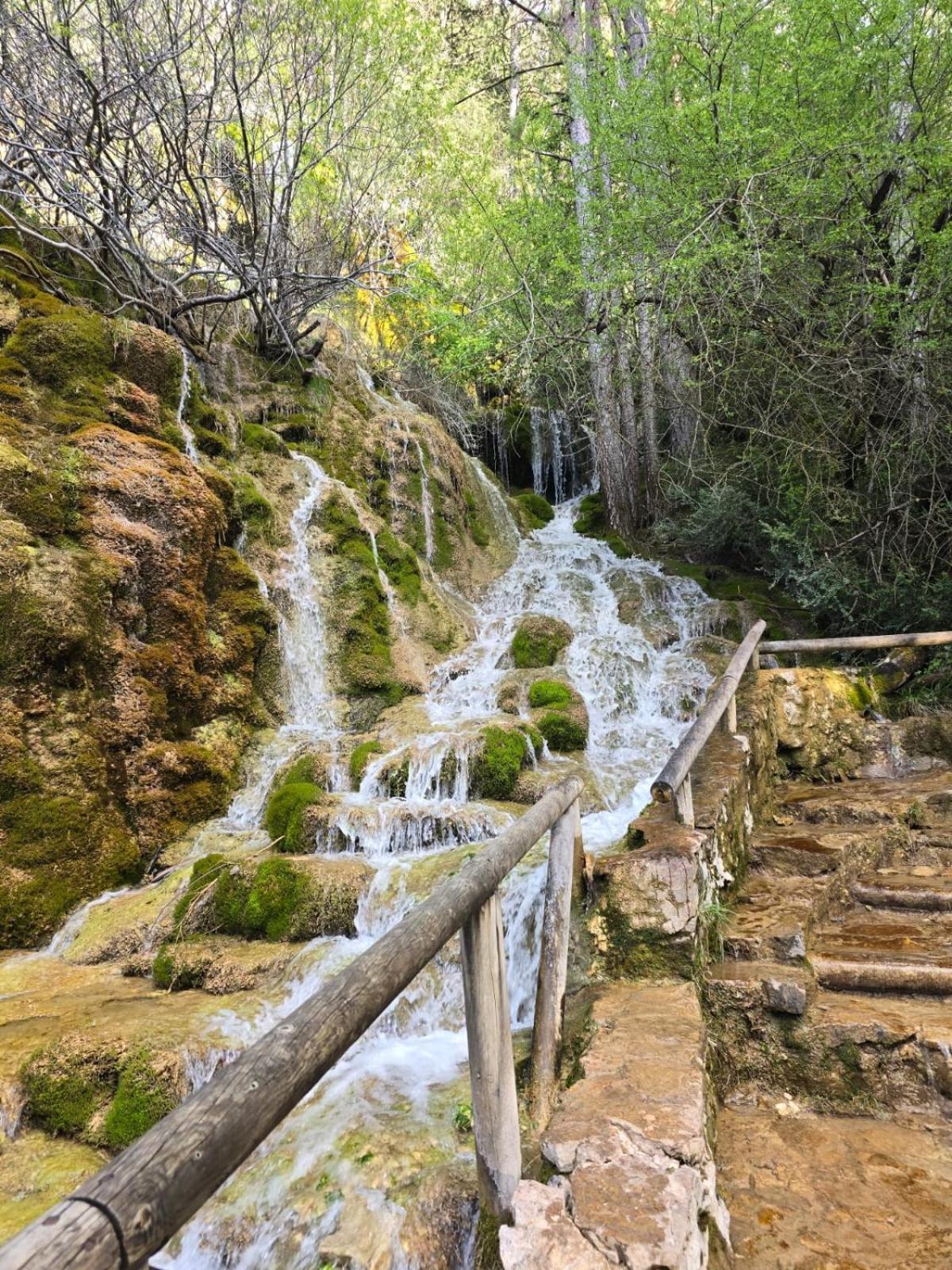 Hostal Rural Alto Tajo Poveda Poveda de la Sierra エクステリア 写真